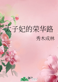 太子妃的荣华路 作者:秀木成林